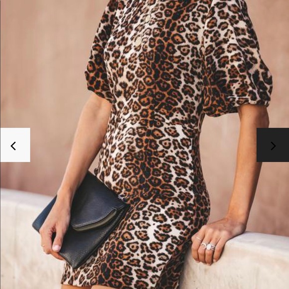 ❤️NEW Animal print Dress - Picture 2 of 8